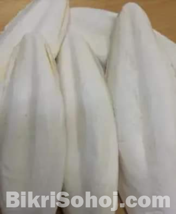 ক্যাটল ফিস বন